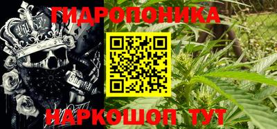 мяу мяу мука Кингисепп