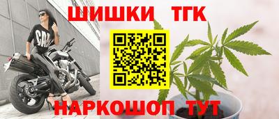 мяу мяу мука Кингисепп