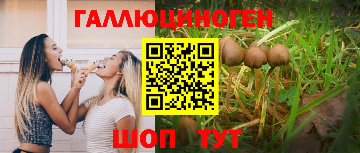 Псилоцибиновые грибы Magic Shrooms Волоколамск